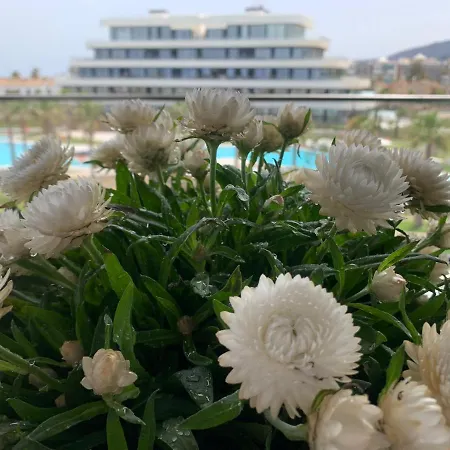 1 Line Beach New Apartment, Luxury Complex 2022 * 托雷莫利诺斯